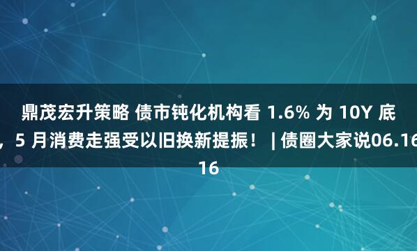 鼎茂宏升策略 债市钝化机构看 1.6% 为 10Y 底，5 月消费走强受以旧换新提振！ | 债圈大家说06.16