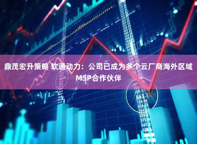 鼎茂宏升策略 软通动力：公司已成为多个云厂商海外区域MSP合作伙伴