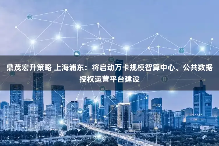 鼎茂宏升策略 上海浦东：将启动万卡规模智算中心、公共数据授权运营平台建设